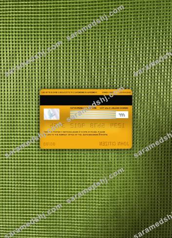 Ethiopia Bank of Abyssinia bank visa gold card photolook back